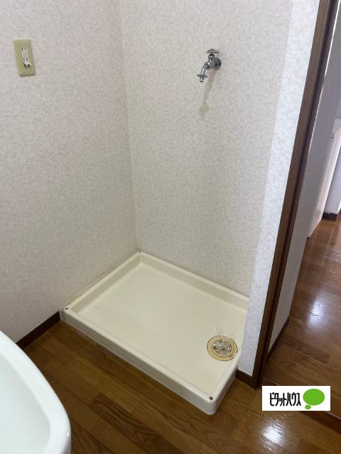 エバーグリーン（B302） その他