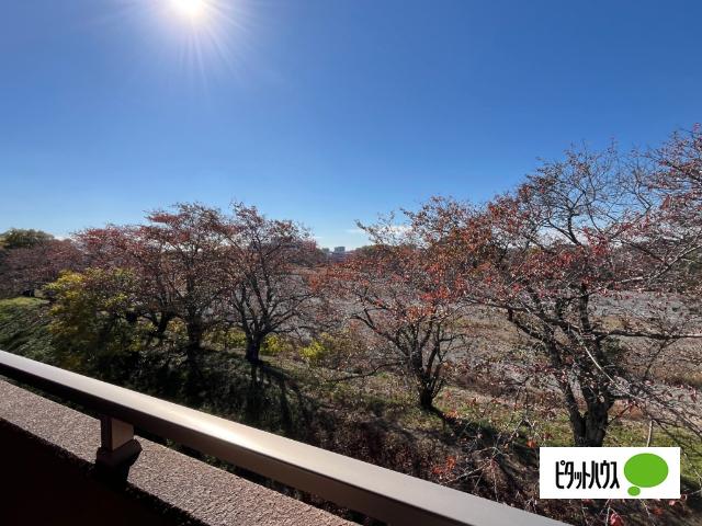 IBB6（401） 眺望