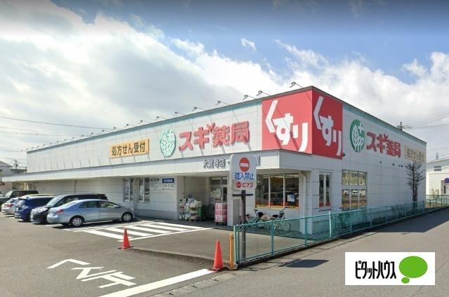 スギ薬局大覚寺店：63m