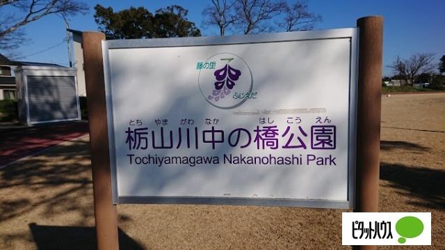 栃山川中の橋公園：2371m