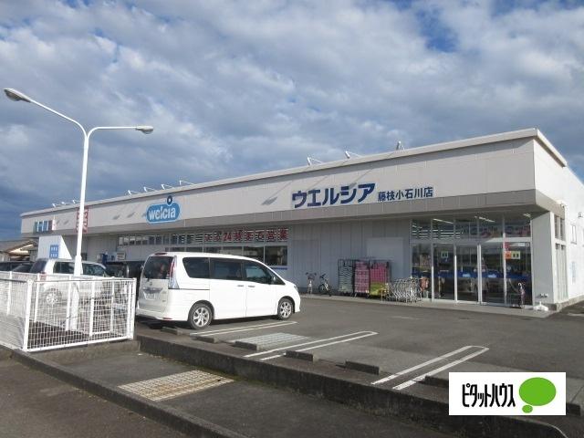 ウエルシア藤枝小石川店：1264m