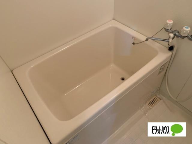 パレスアベニール 部屋画像