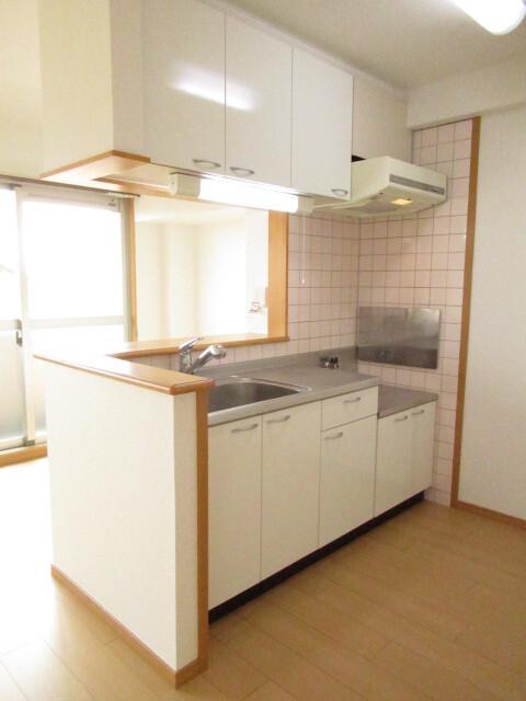 ウェンブリー（302） キッチン