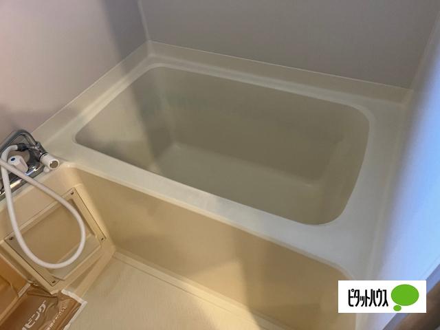 パインハイム　Ａ（102） 部屋画像