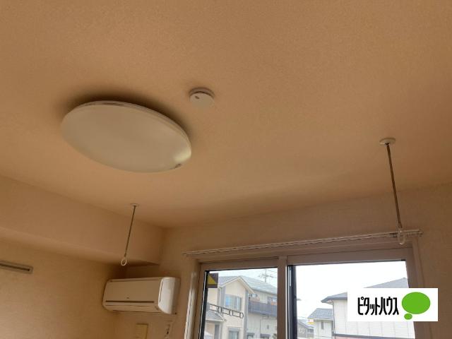 アジュールⅡ（101） 部屋画像