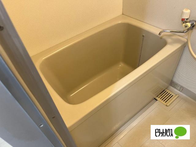 ｅｐｉ 部屋画像