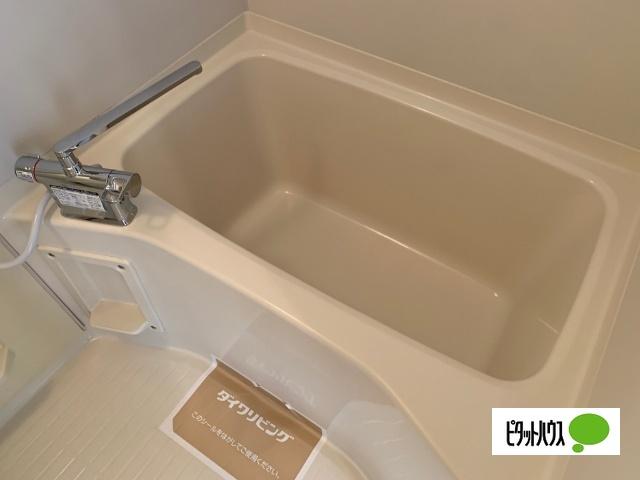 メゾンヤマショー　Ｂ（205） 部屋画像