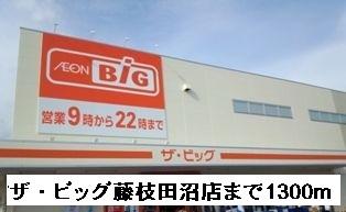 ザ・ビッグ藤枝田沼店：1300m