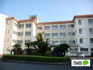 藤枝市立高洲小学校：799m