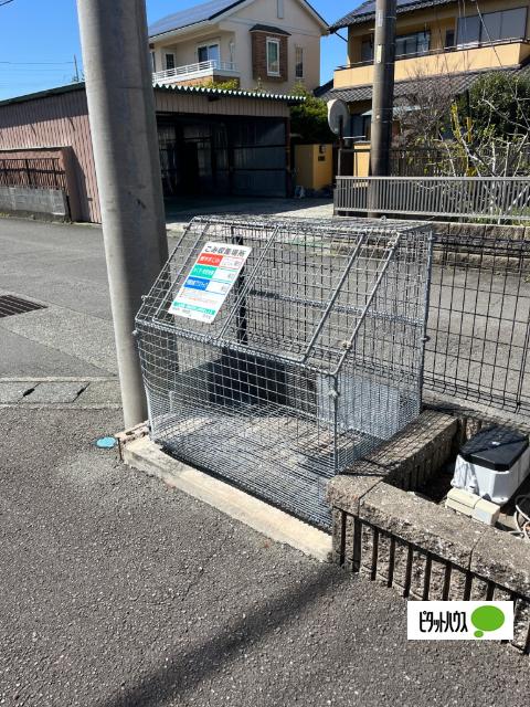 クレッシェンド その他