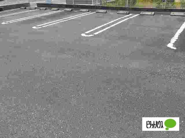 コスモス（102） その他