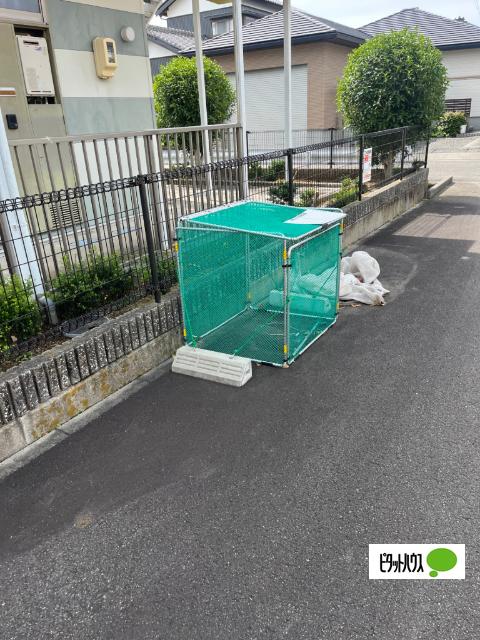 豊穂（202） その他