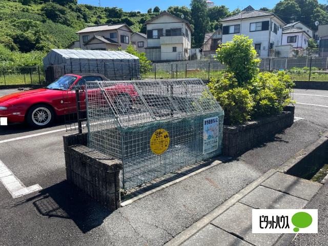 フランシーズ（105） その他