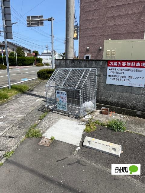 マンション小池（202） その他