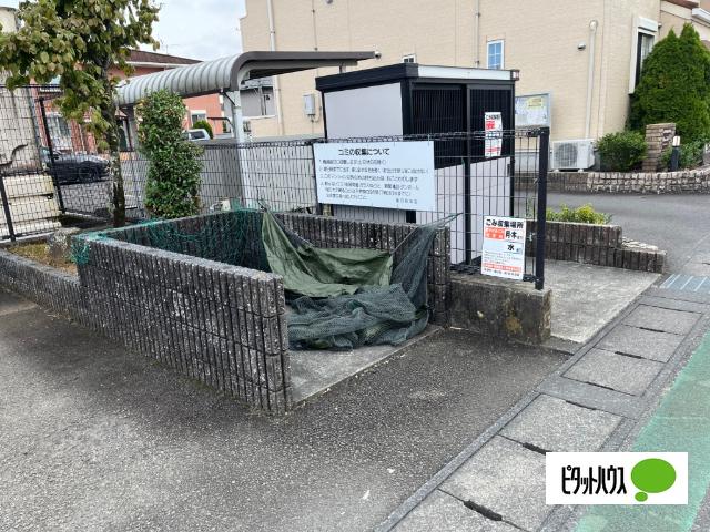 花みずき（203） その他
