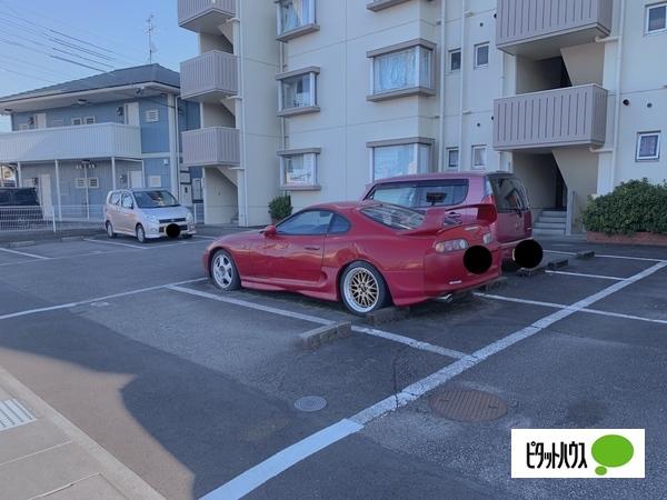 メゾン・ド・コスモ 物件画像