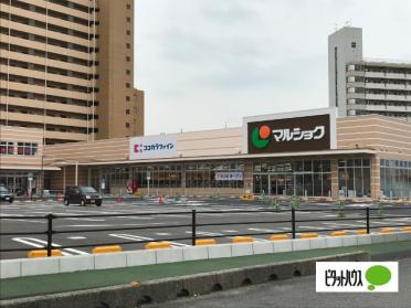 マルショク東駅店：1370m