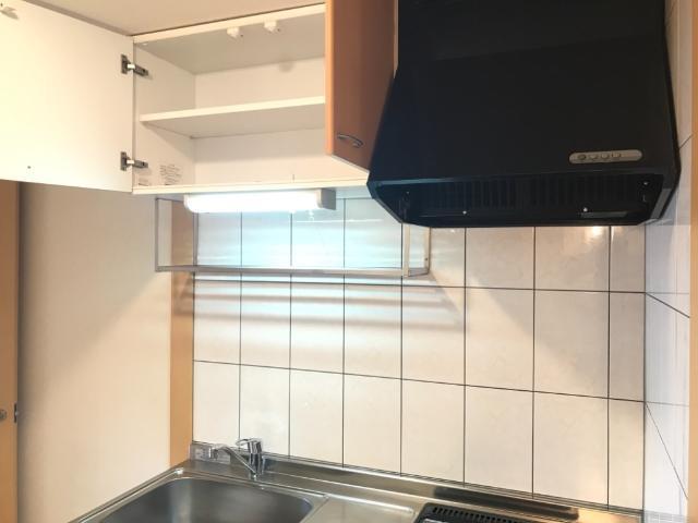 ガーベラ・テトラ 部屋画像