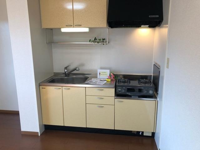 ウィルモア田倉（203） 部屋画像