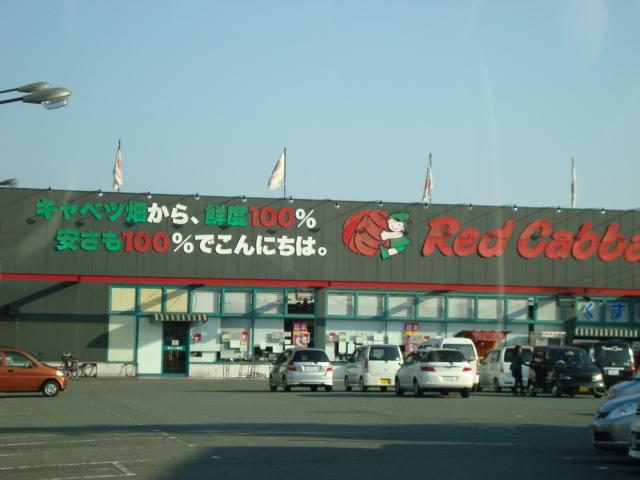 レッドキャベツ小月店（ディスカウントショップ）：969m
