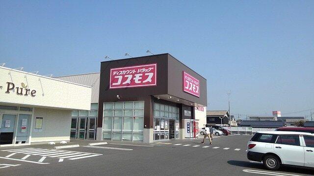コスモス：800m