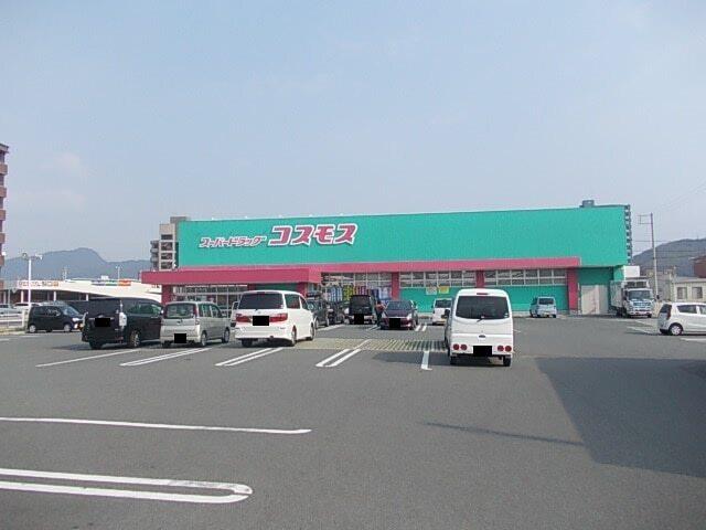 コスモス：2300m
