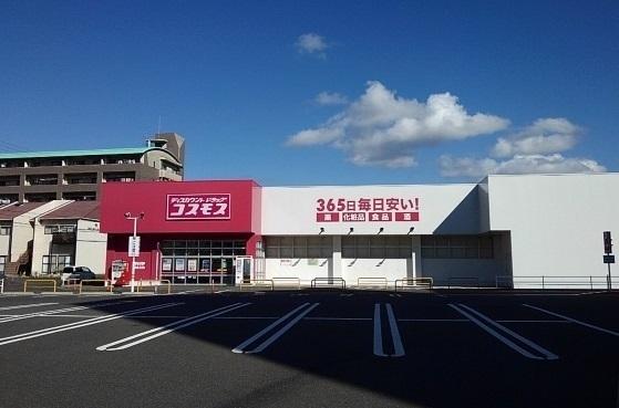 コスモス：1400m