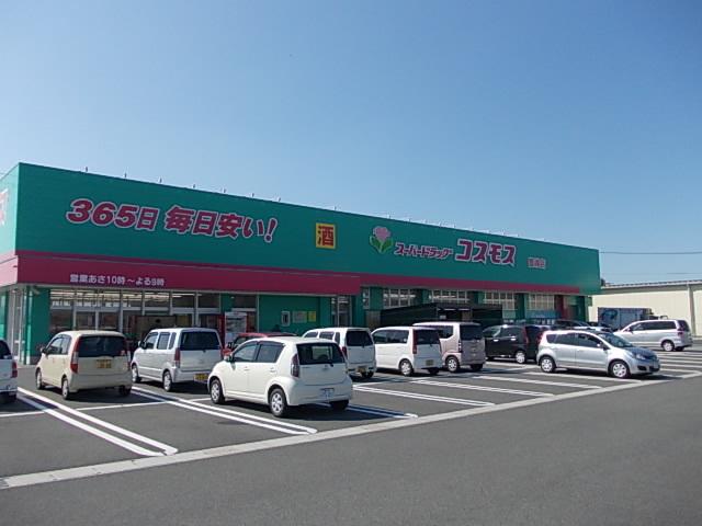 コスモス：600m