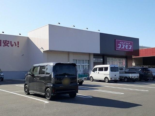 コスモス：2100m