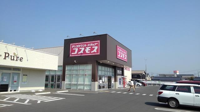 コスモス：1600m