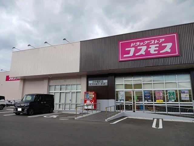 コスモス：700m