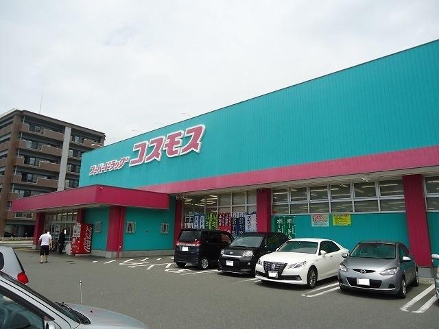 コスモス：550m