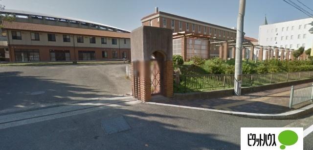 私立梅光学院大学：2391m