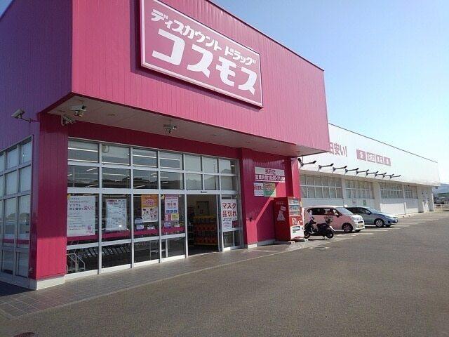 コスモス：1000m