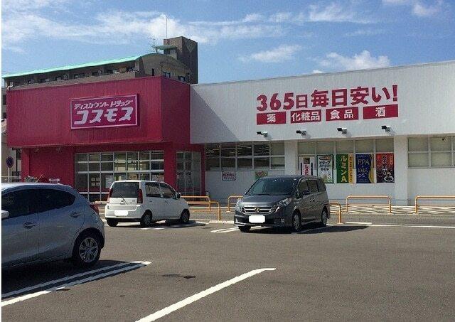 コスモス：1300m