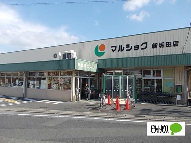 マルショク新垢田店：468m