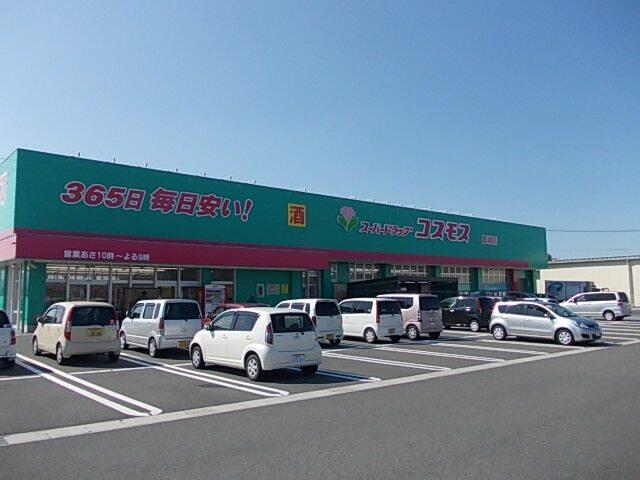 コスモス：1300m