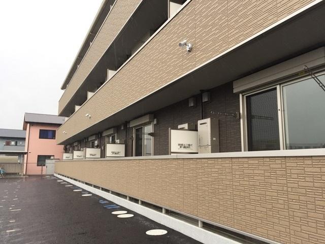 ピースコート  プラグレス（305） その他