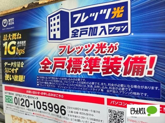 寿美サンライズマンションⅡ 物件画像