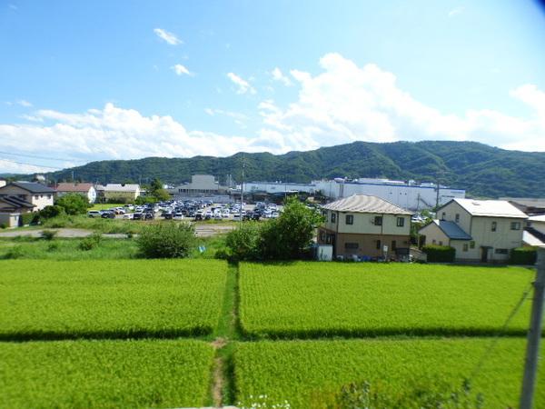 カーザわかば 眺望
