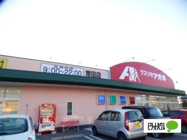 クスリのアオキ常田店：1084m