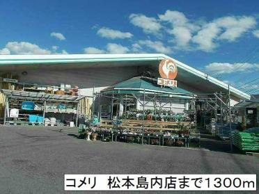 コメリ　松本島内店：1300m