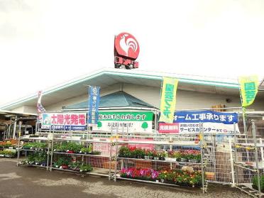 コメリ上田小泉店：200m