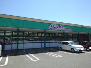 ウエルシア千曲稲荷山店：1100m