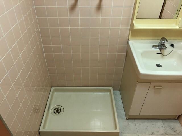 シャンフォーレ清水 洗面