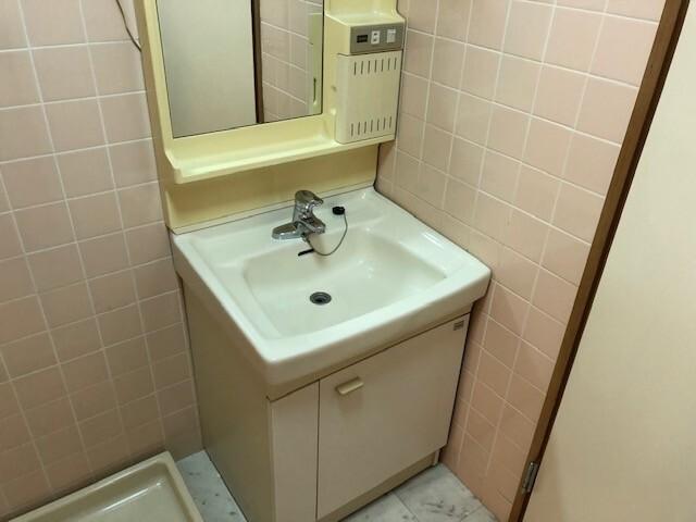 シャンフォーレ清水 洗面