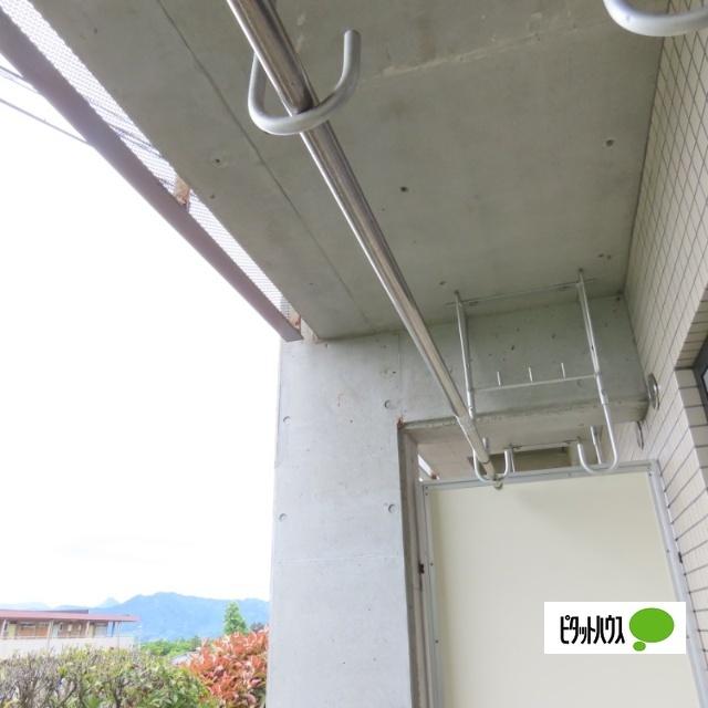 新田ツインズ その他