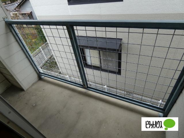 サンハイツアオキA 部屋画像