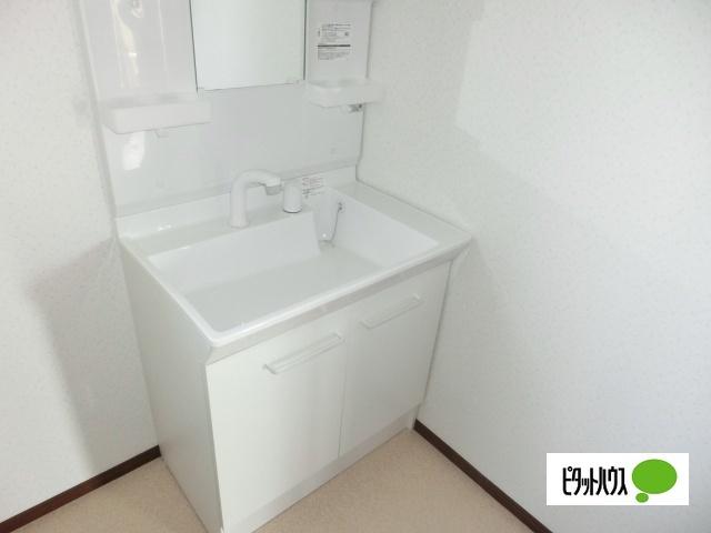 沢村戸建 洗面