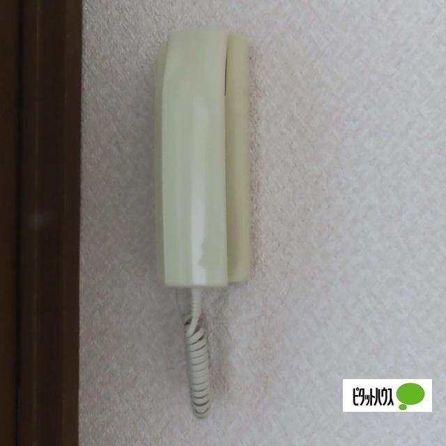 新田ツインズ セキュリティ